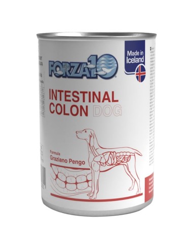 FORZA 10 Intestinal colon