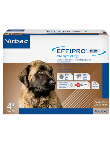 Effipro Duo Cane XL (40-60 kg) 4 Pipette