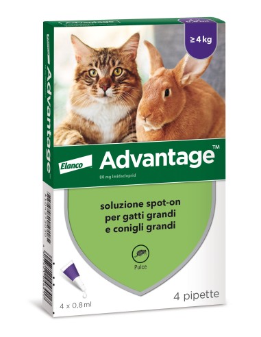 Advantage 80 mg per Gatti e Conigli superiori a 4 kg - 4 pipette