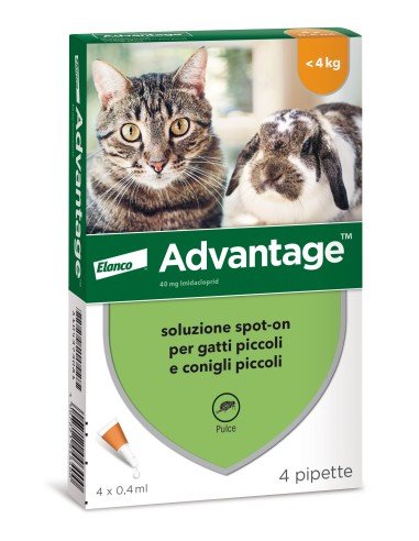 Advantage 40 mg per gatti Gatti e Conigli fino a 4 kg - 4 pipette